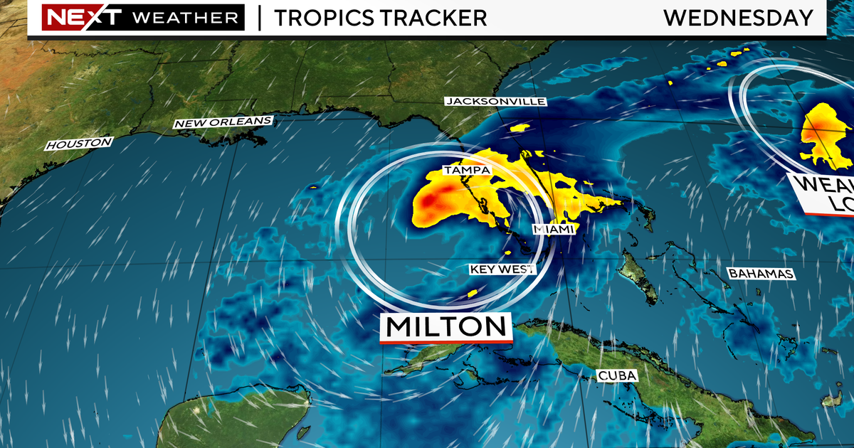 Tropical Depression 14 formed in Gulf of Mexico. Here’s what Florida can expect Tropical Depression 14 formed in Gulf of Mexico. Here’s what Florida can expect