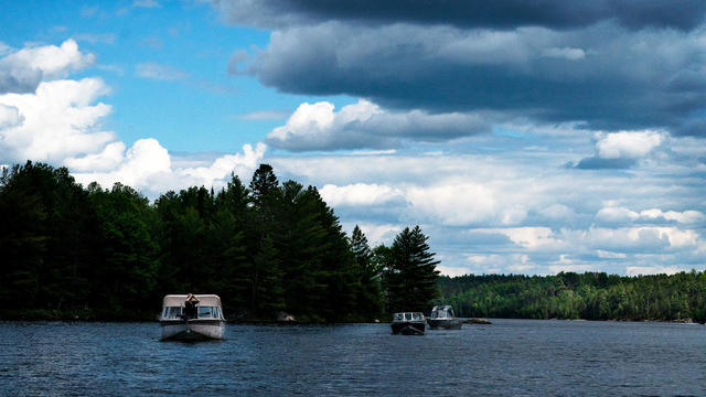 Eagle search Voyageurs National Park 