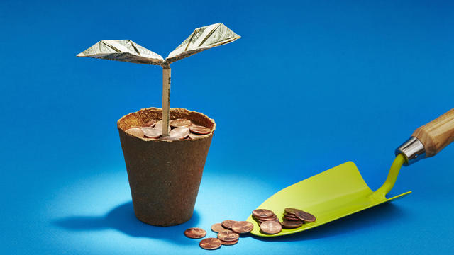 Origami dollar seedling growing in a flower pot of coins 