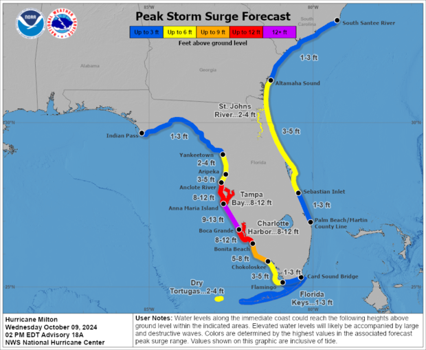 milton-surge-weds-2p.png 