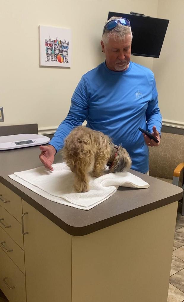 Dog rescued from rubble at St. Lucie County retirement community hit by Hurricane Milton tornado