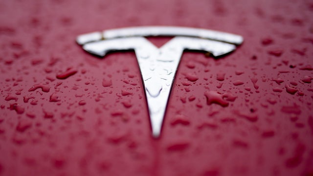 Tesla Robotaxi 
