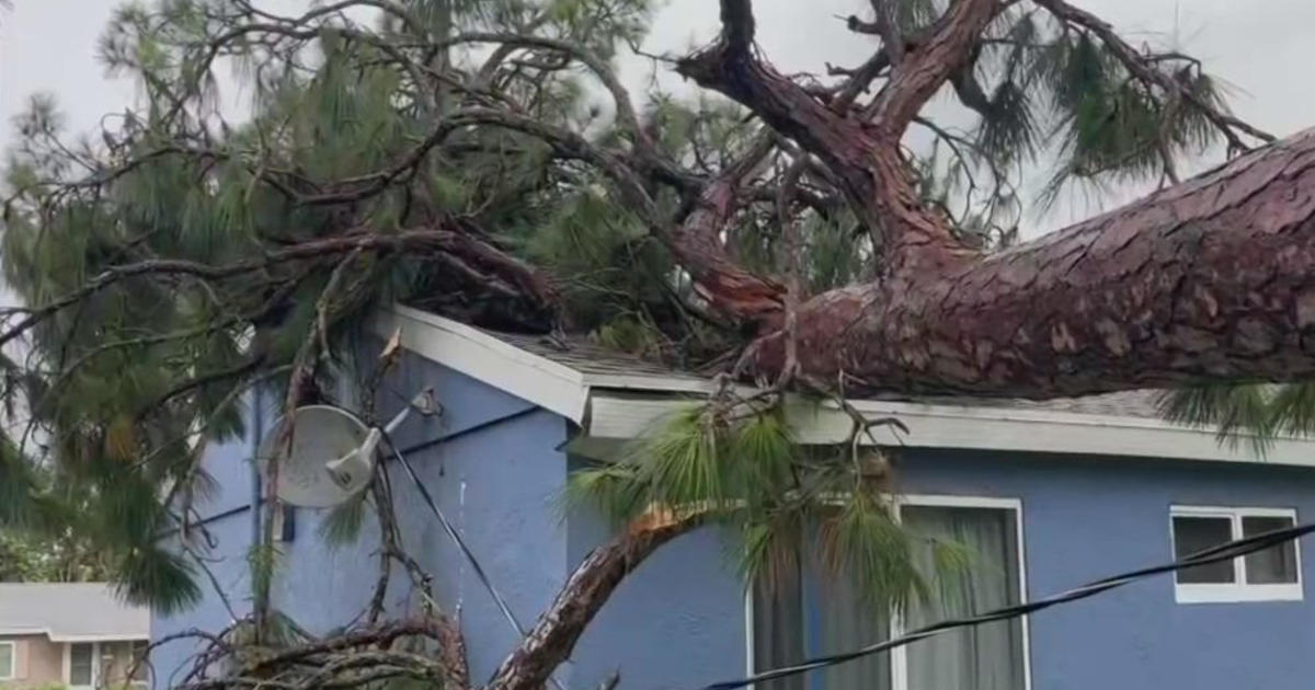 Hurricane Milton debris clean-up and removal underway in Vero Beach