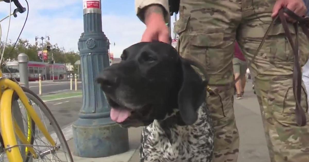 U.S. Coast Guard K9 showcases his skills on final day of San Francisco