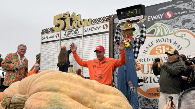 Half Moon Bay pumpkin weigh-off 