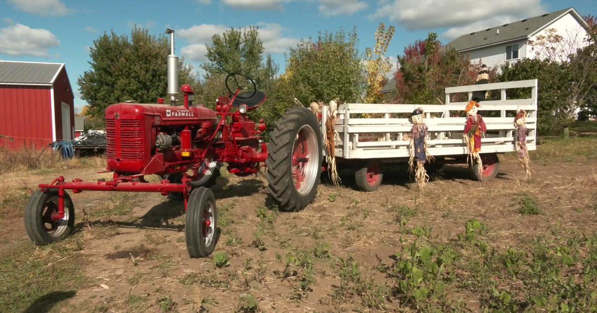 Few state regulations in place for fall agritourism businesses in Minnesota