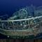 Details of iconic shipwreck revealed in never-before-seen footage