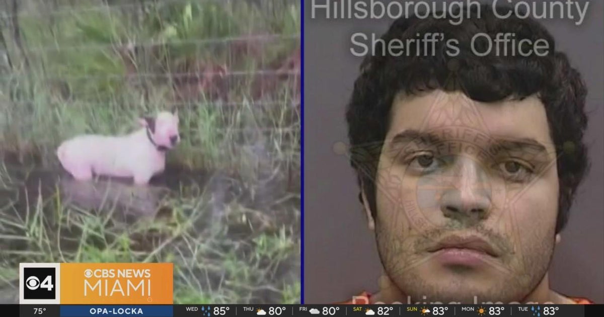 Florida man arrested after dog tied to post ahead of Hurricane Milton landfall Florida man arrested after dog tied to post ahead of Hurricane Milton landfall