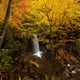 Map shows how vibrant western Pennsylvania's fall foliage will be this year 