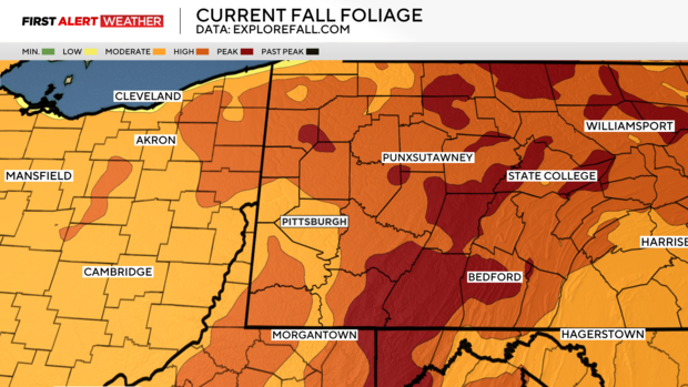 fall-foliage.png 