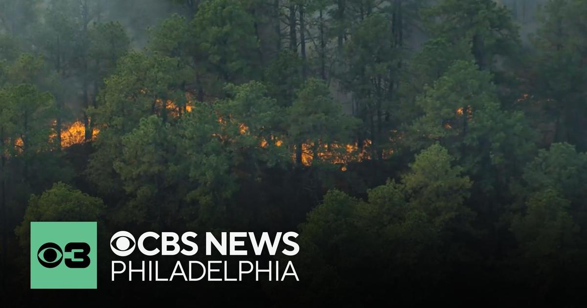 The five-acre wildfires at Brendan T. Byrne State Forest are 60% contained, officials say