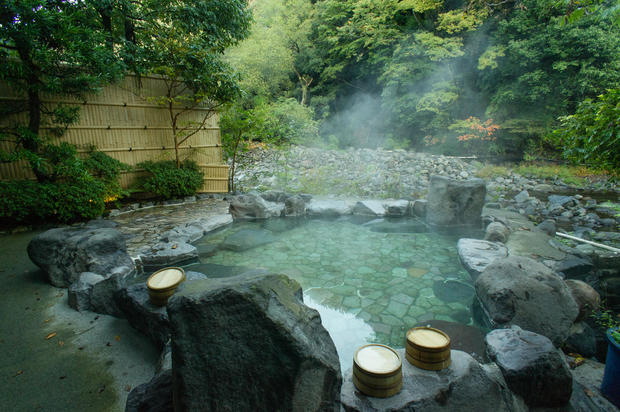 Natural hot spring bath, Hakone, Japan 