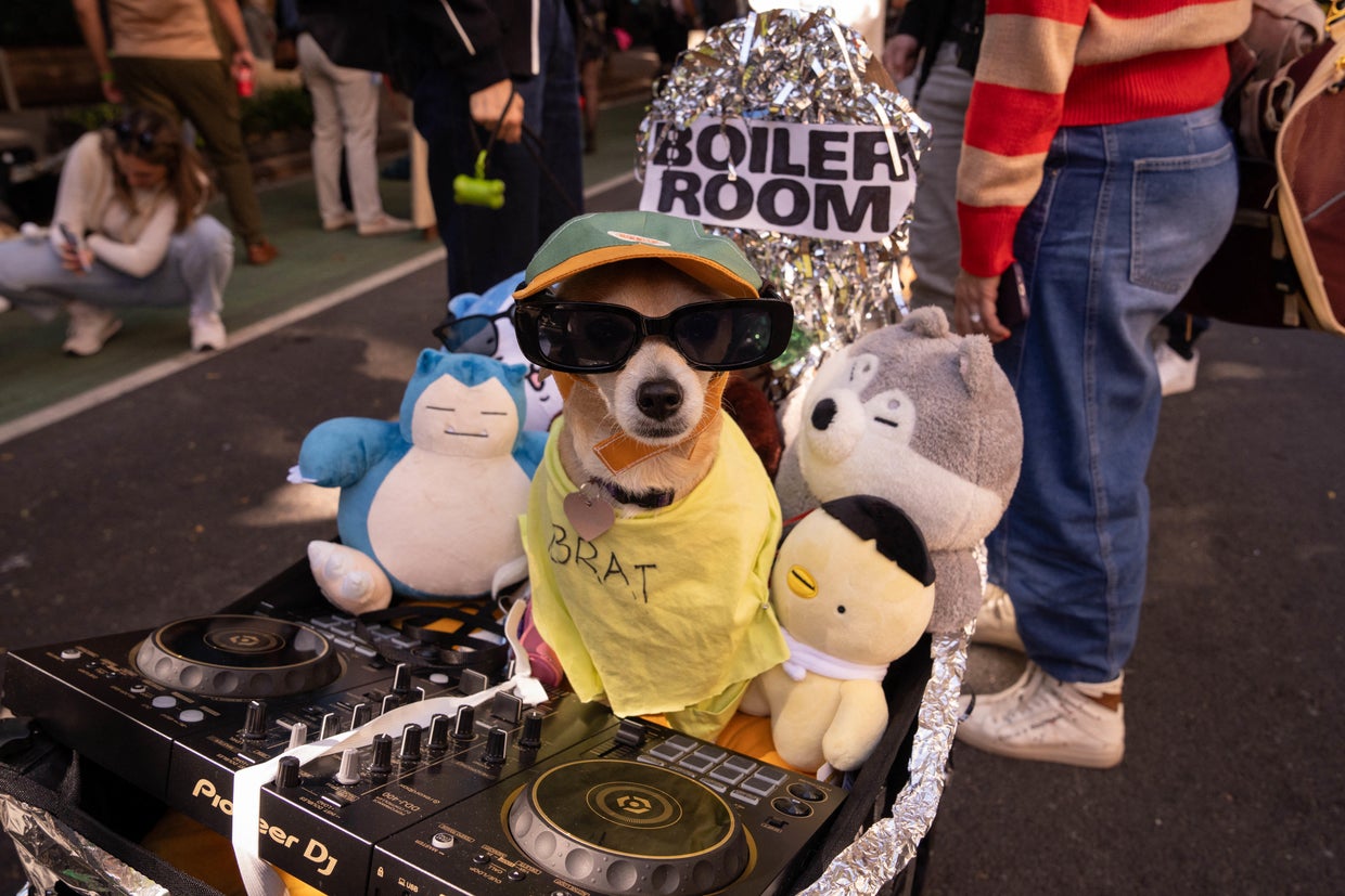 People and their dogs in costume take part in the 34th Annual Tompkins Square Park Halloween Dog Parade in New York City, October 19, 2024.