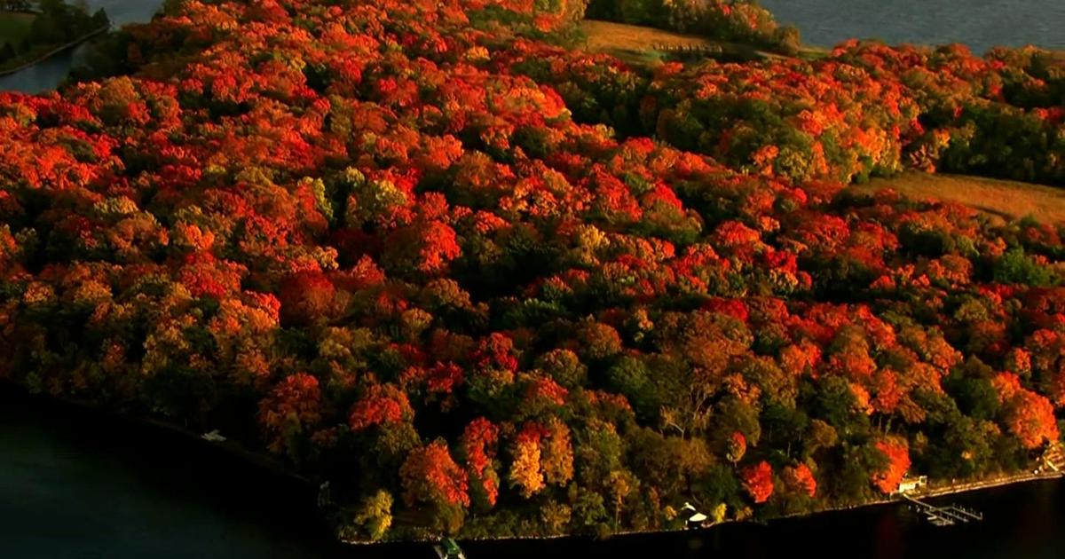 Peak fall colors occur later than normal in Minnesota