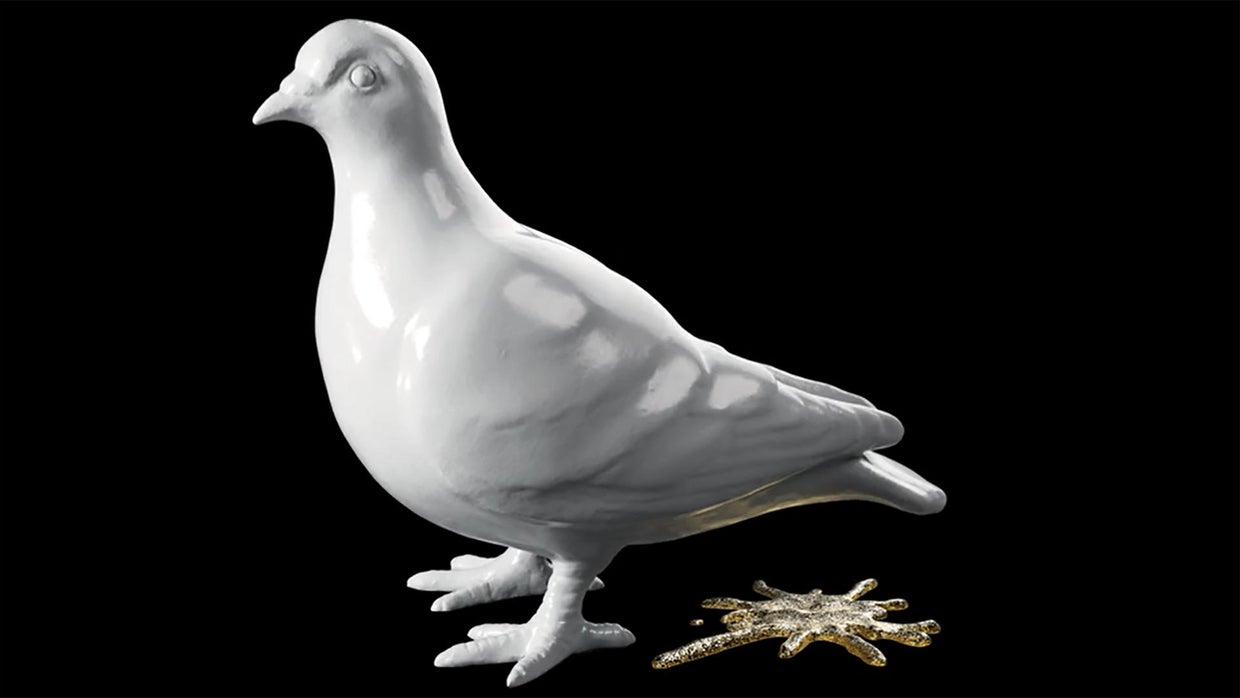 What you never knew about pigeons - CBS News