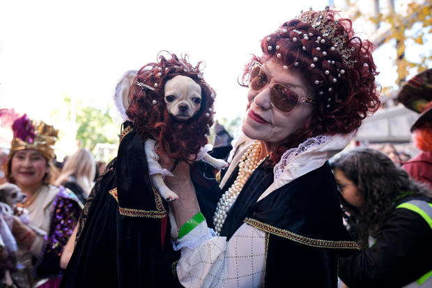 Dogs with costumes compete in the Halloween Dog Parade at Tompkins Square in New York City, United States on October 19, 2024. 