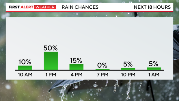 next-18-hrs-rain-pop.png 