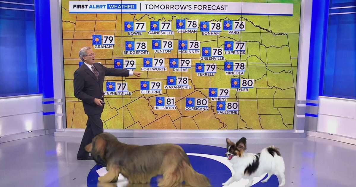 Sunny and nice weekend ahead for North Texas - CBS Texas