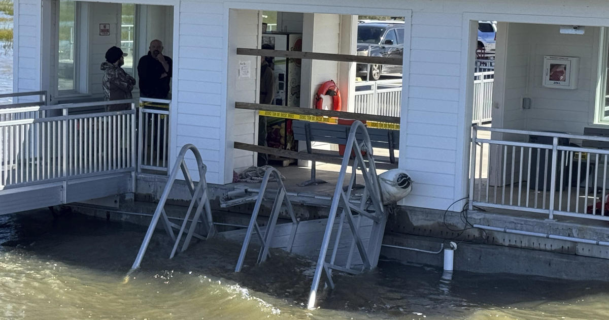 Witnesses describe frantic rescue effort after Georgia dock gangway collapse killed 7