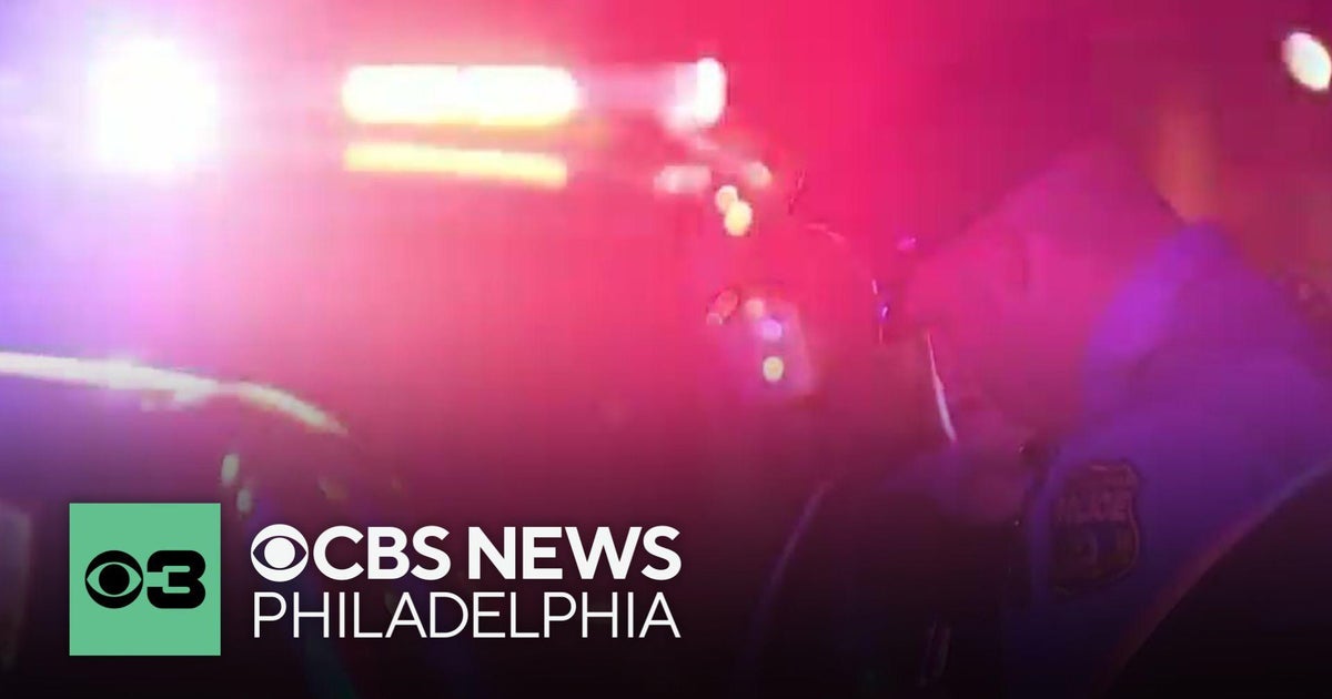 2 teens arrested after armed carjacking, police chase | Digital Brief ...