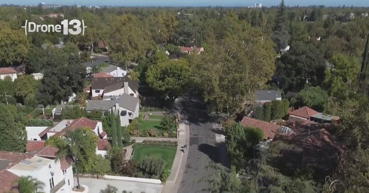 Some Sacramento residents concerned after receiving notices from home insurers to maintain trees