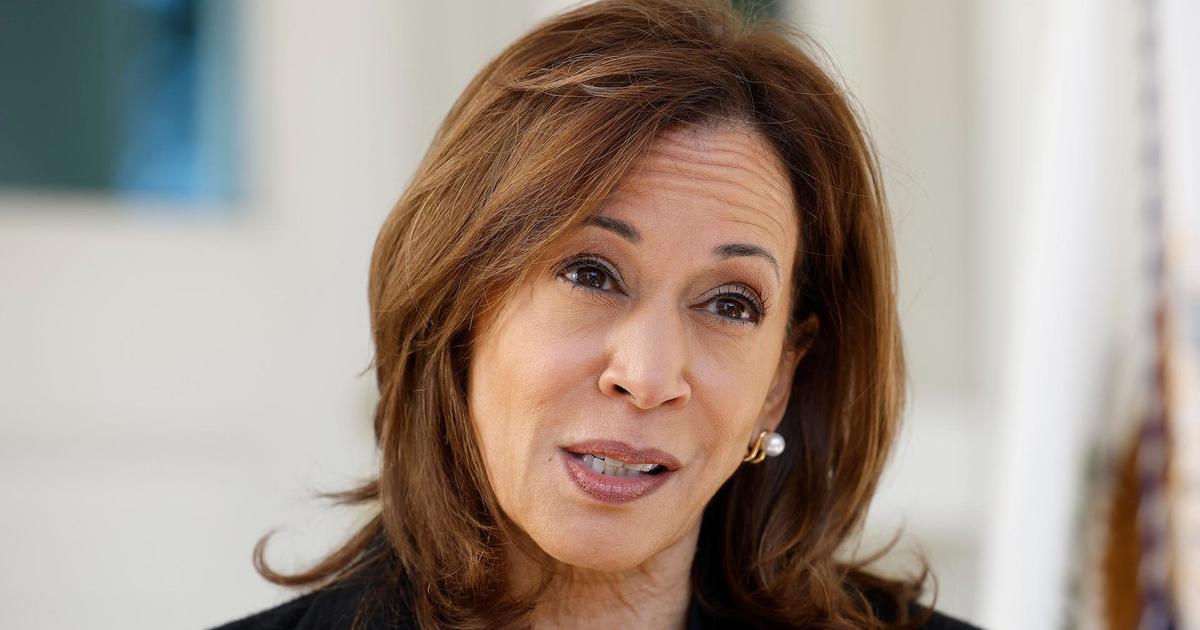 Harris campaign ramps up ground game in battleground states