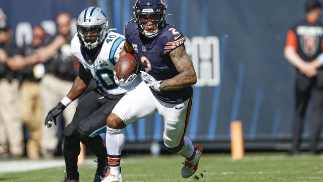 Panthers Bears Football 