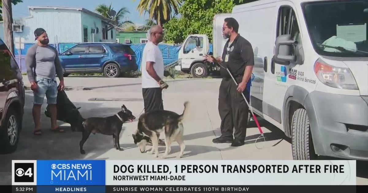 Woman hospitalized, dog dies in Northwest Miami-Dade mobile home fire ...