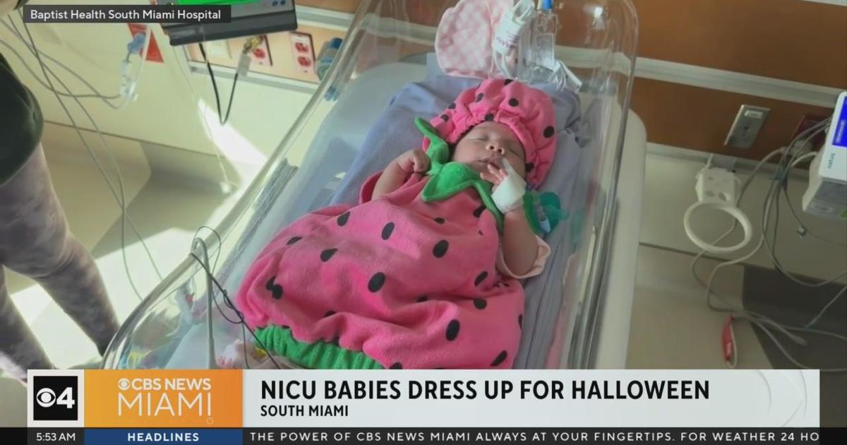 Baptist Health South Miami Hospital dresses NICU babies in costumes for their first Halloween