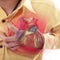 Tips on how to prevent cardiovascular disease