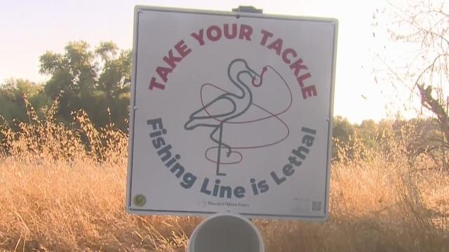 take-your-tackle-sign.jpg 