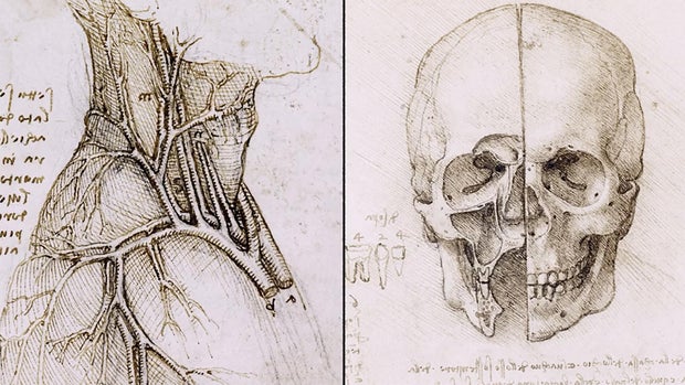 leonardo-cadaver-dissections.jpg