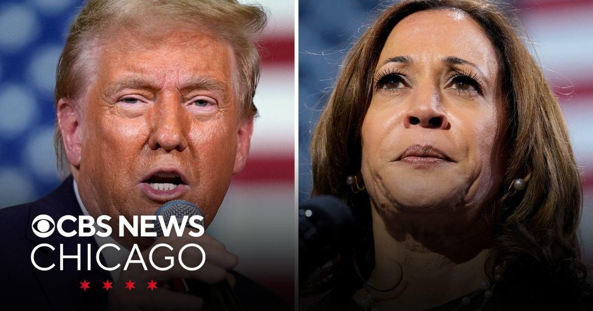 Harris and Trump compete for undecided voters as campaign enters final ...