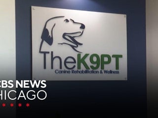 健康・医学 Canine Rehabilitation &Physical Therapy Canine Rehabilitation and Physical Therapy: 9780721695556