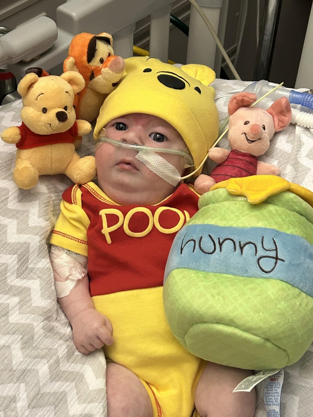 winnie-the-pooh-with-honey-jar-and-friends.jpg
