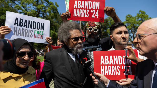 Protesters Demonstrate During The 2024 Democratic National Convention In Chicago 