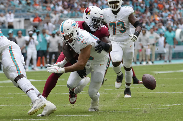 Cardinals Dolphins Football 