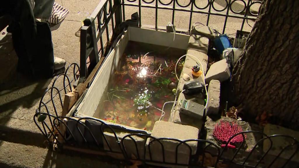 Brooklyn residents create new makeshift aquarium next to repaired fire hydrant