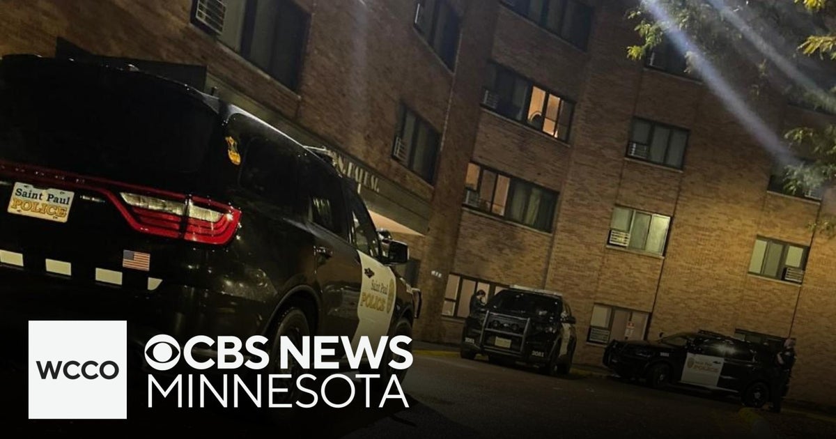 Man killed in St. Paul stabbing; suspect in custody - CBS Minnesota