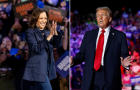 Photos of Vice President Kamala Harris and former President Donald Trump at campaign rallies 