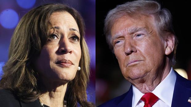 Photos show Harris and Trump rallying in Pittsburgh on election eve 