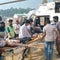 Dozens killed as bus loses control, skids off Himalayan road into gorge