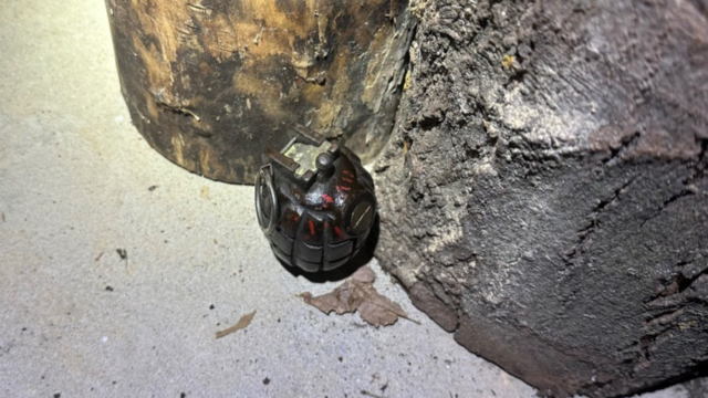 Hand grenade found inside Ann Arbor home, police say 