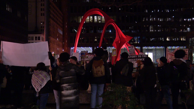 federal-plaza-palestine-protest.png 