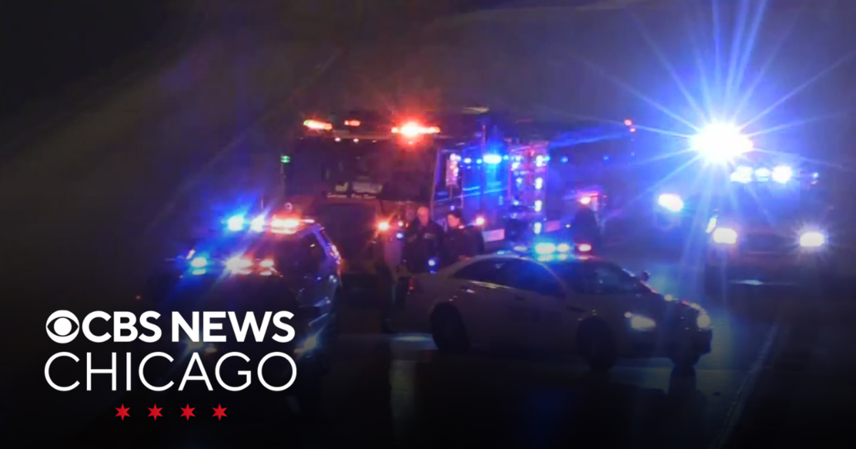 Victim hit, killed on identified Dan Ryan Expressway