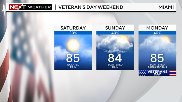 veterans-day-weekend-planner-2024.png 