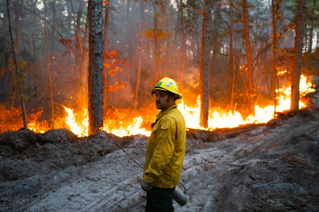 Flames are seen as a firefighter stands in a forest 