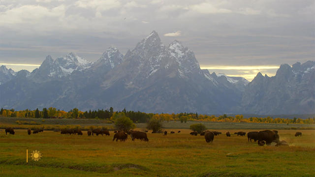 nature-grand-teton-national-park-1920.jpg 