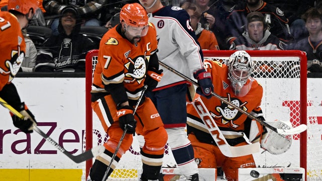Blue Jackets Ducks Hockey 