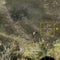 Russia, Ukraine trade massive drone strikes